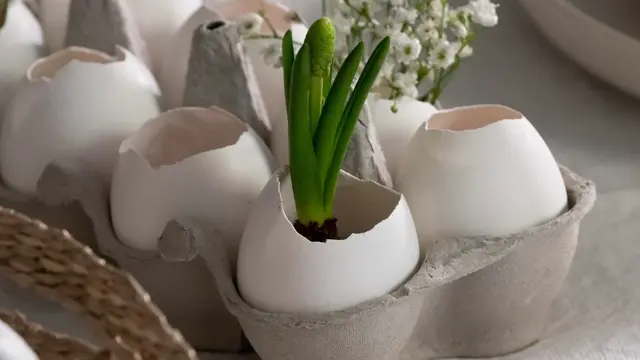 Slik dekker du påskebordet 