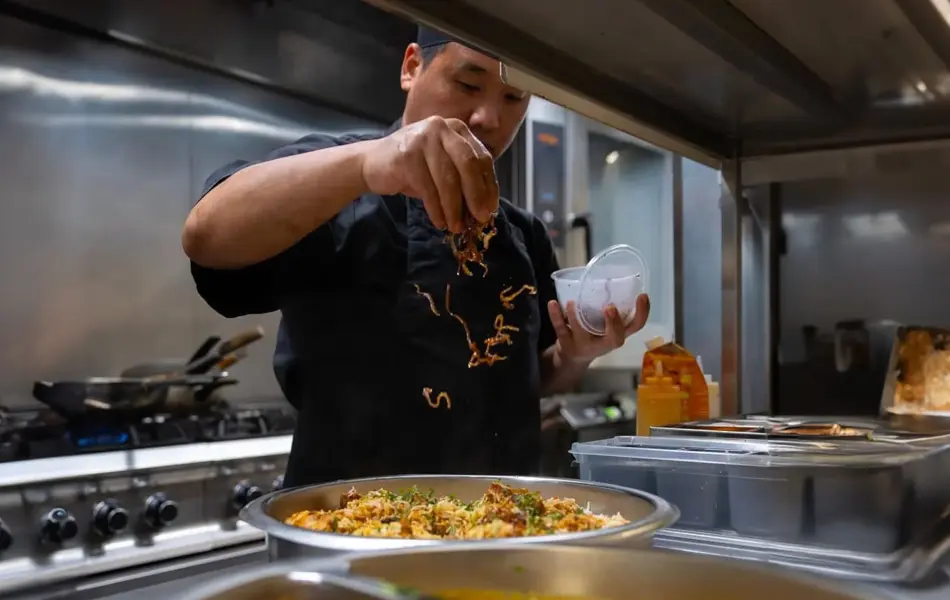 spisesteder hoved 26