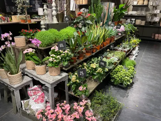 Blomster