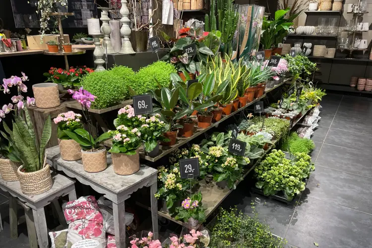 Her ser vi en del av utvalget i butikken