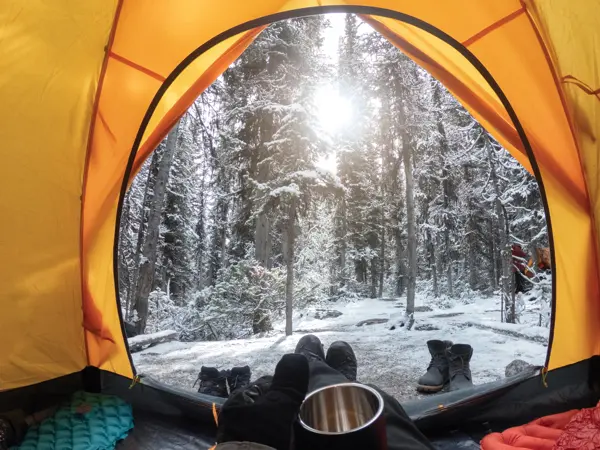 Camping with hand holding cup in yellow tent with snow in pine forest at Yoho national park