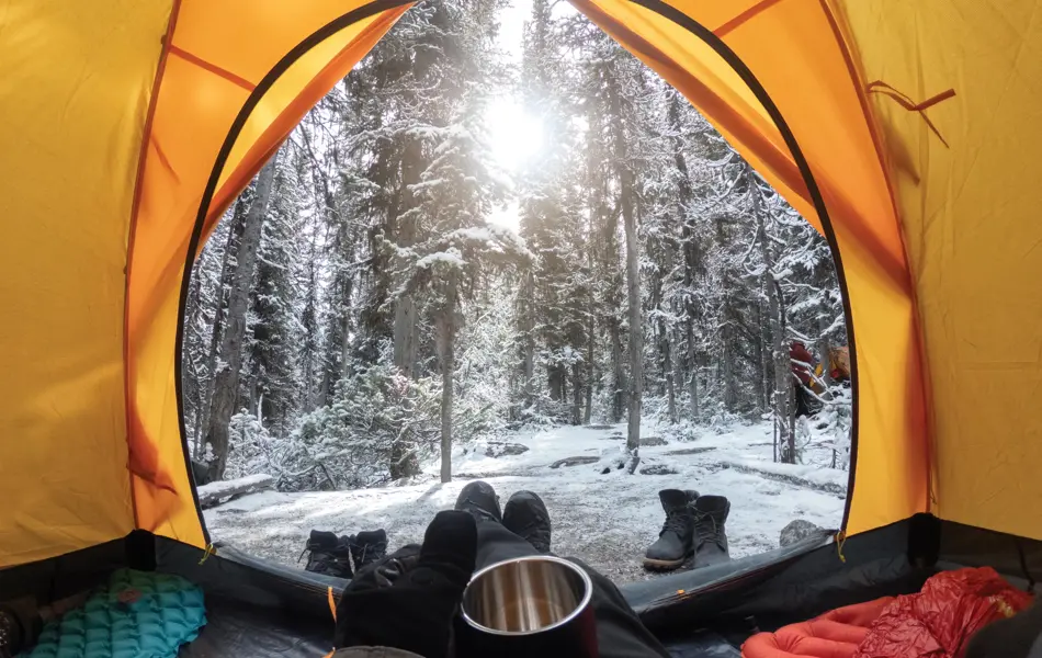 Camping with hand holding cup in yellow tent with snow in pine forest at Yoho national park