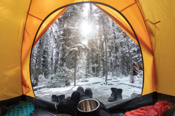 Camping with hand holding cup in yellow tent with snow in pine forest at Yoho national park