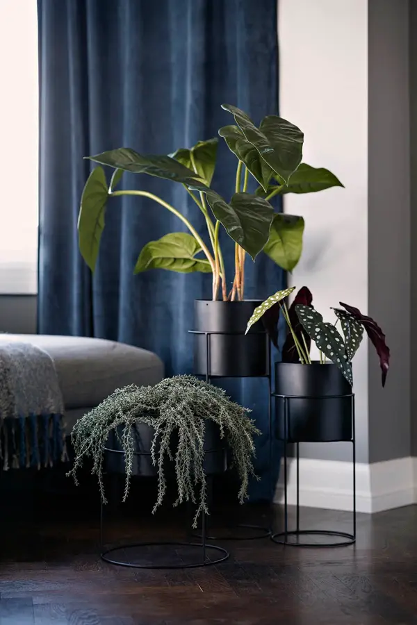 stue-pidestall-potte-potteskjuler-eucalytus-gardiner-velour-interiør-kremmerhuset.jpg