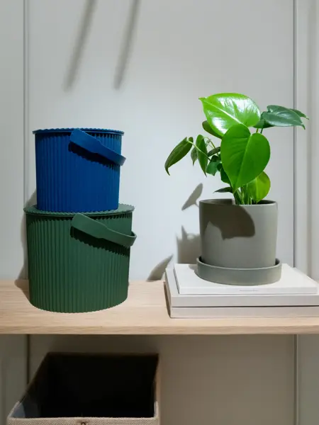 Grønne planter i potter