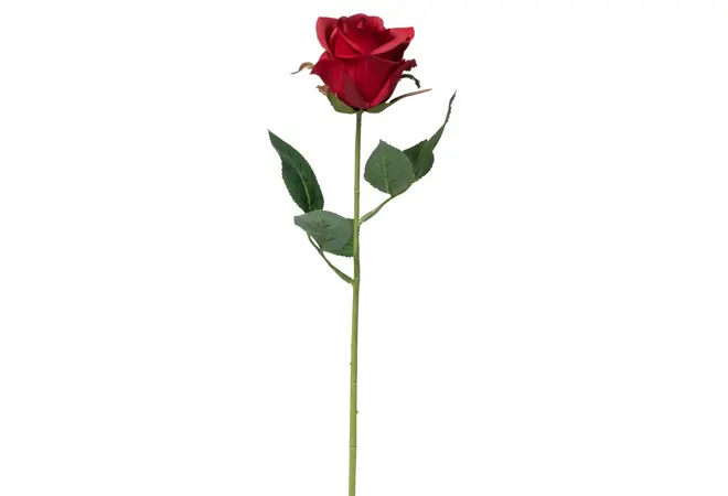 rusta-kunstig-rose-uke06-4.3