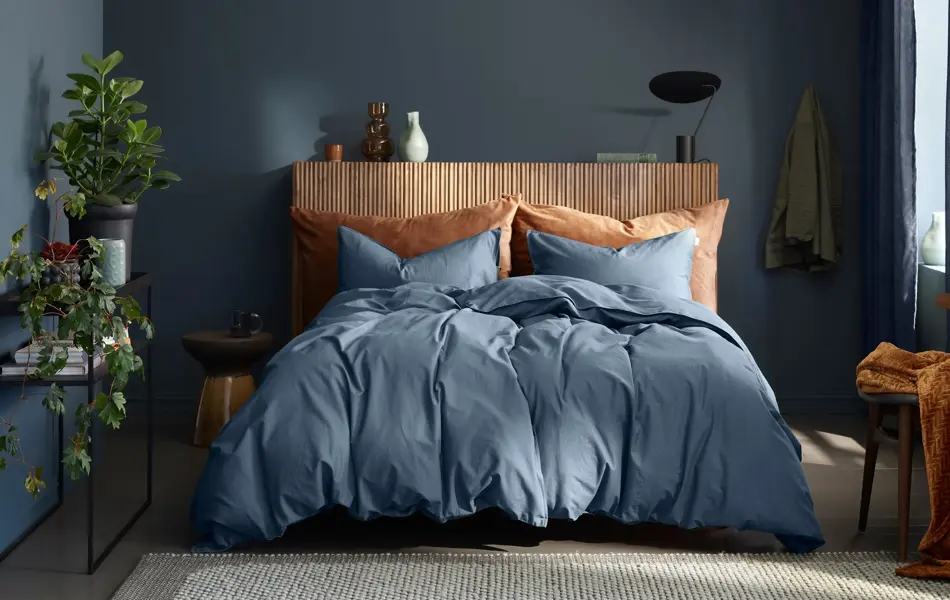 interiørbilde fra princess