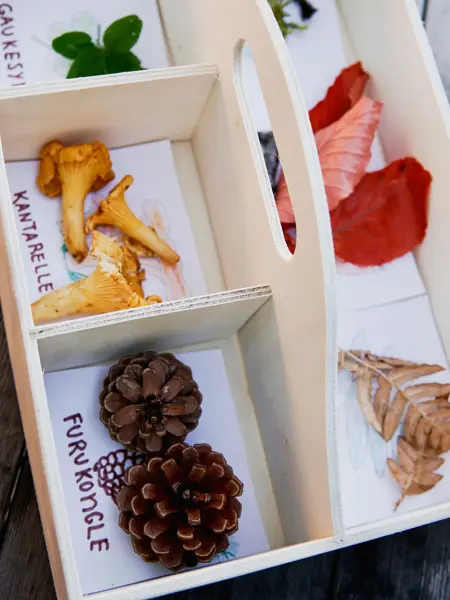 kasse med forskjellige arter av sopp, blader o.l.