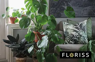 floriss-store-gronne-planter-uke01-3.2