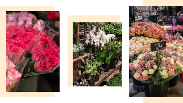 SS_Artikkel_Interflora.jpg