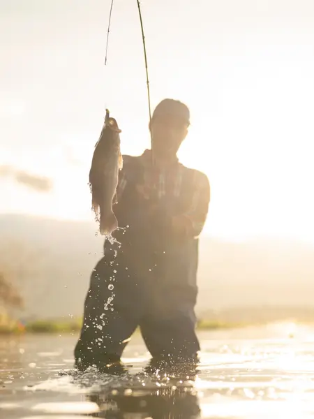 Omriss av mann som fisker og drar opp en fisk i solnedgang. Foto til artikkel om julekalendertips til mann.