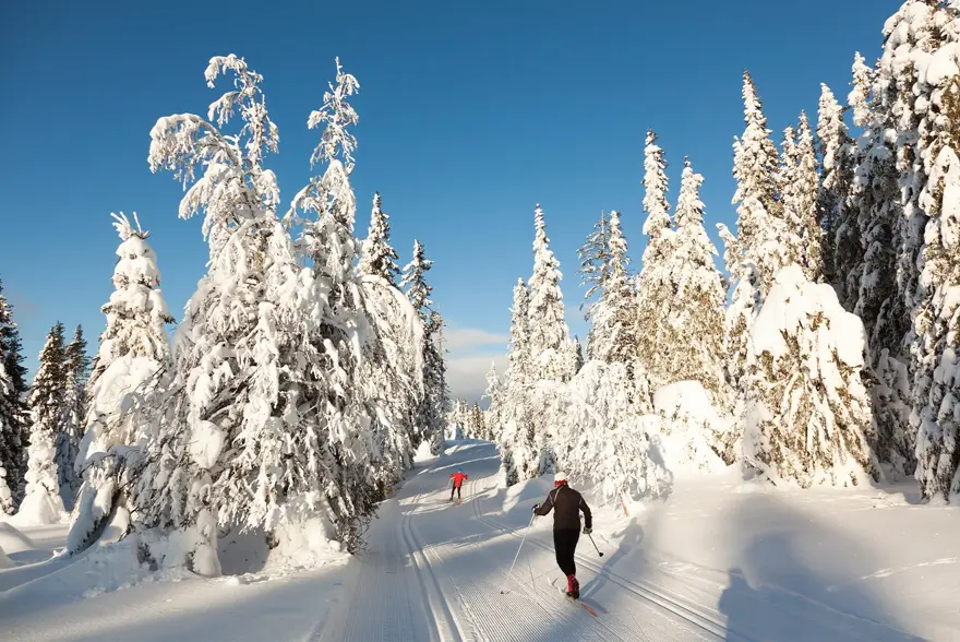Noen som går på ski i vinterlandskap