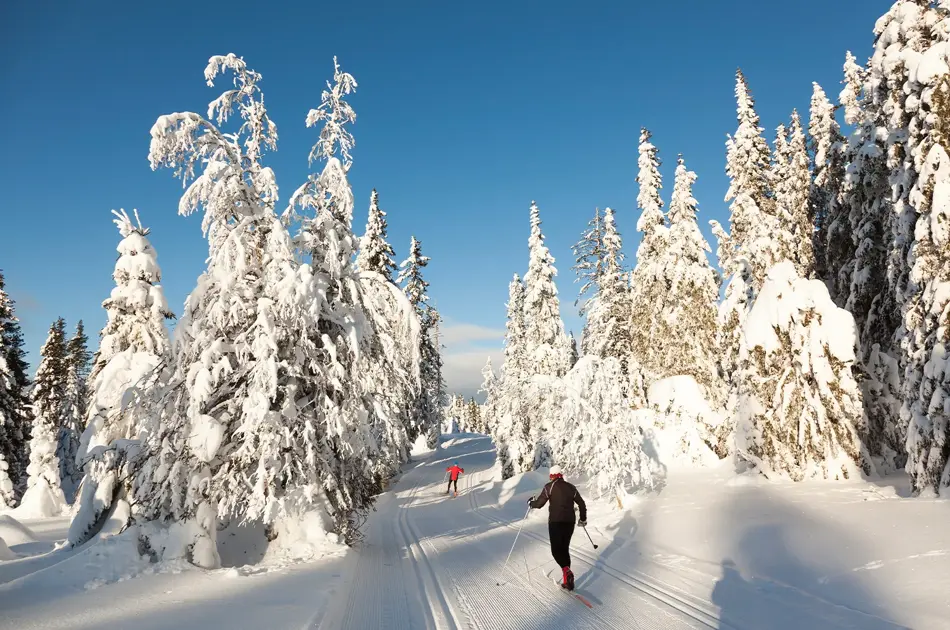 Noen som går på ski i vinterlandskap