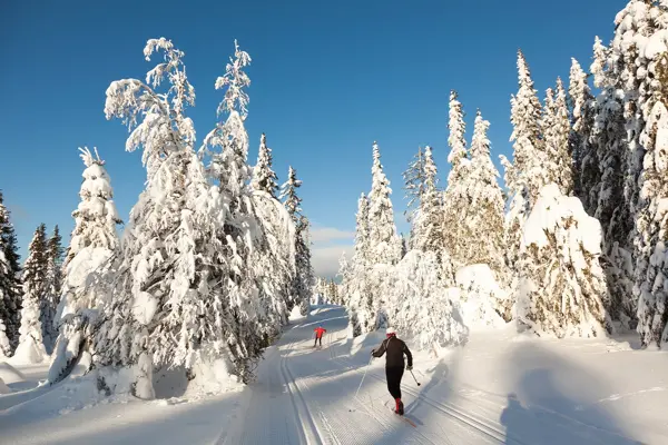Noen som går på ski i vinterlandskap