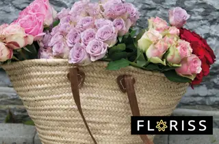 floriss-rose-med-mening-uke27-4.3