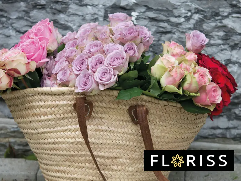 floriss-rose-med-mening-uke27-4.3