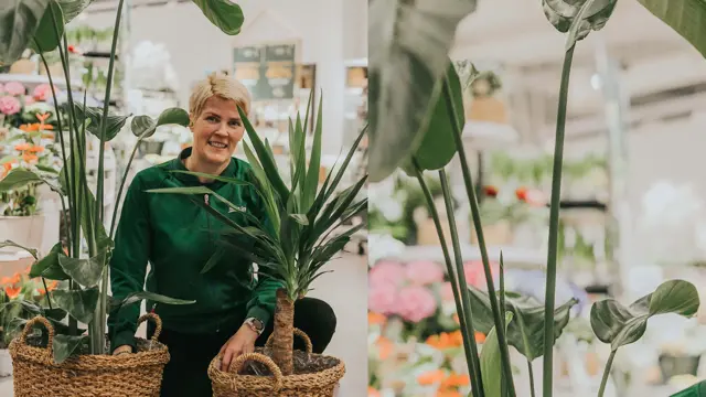 Dame som sitter ved grønne planter