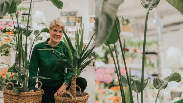 Dame som sitter ved grønne planter