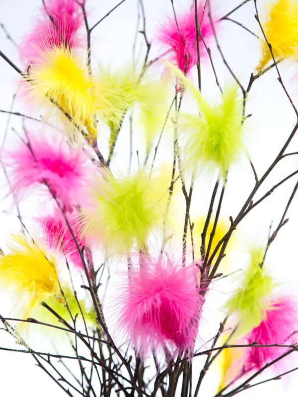 Easter Twigs with Coloured Feathers with white background