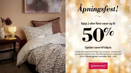 Princess 20.8
