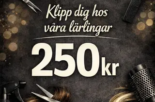 MK Lärlingsklippning