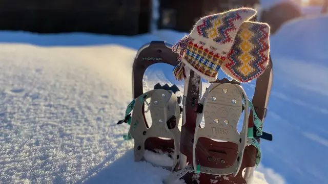 Bjørnfjell Mountain Lodge, innteriør/ eksteriør