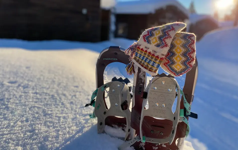 Bjørnfjell Mountain Lodge, innteriør/ eksteriør