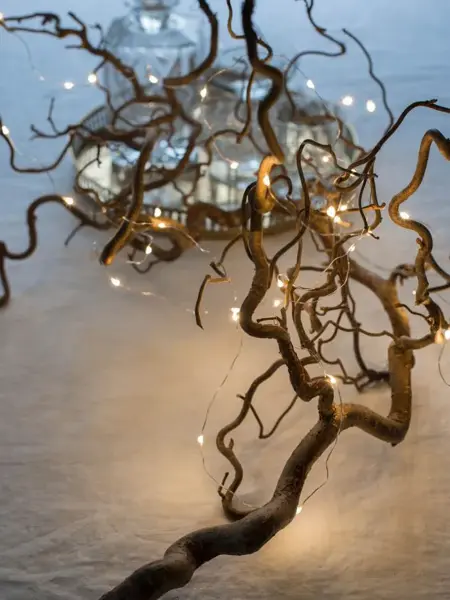 Krokete gren på et spisebord med lyslenge i.