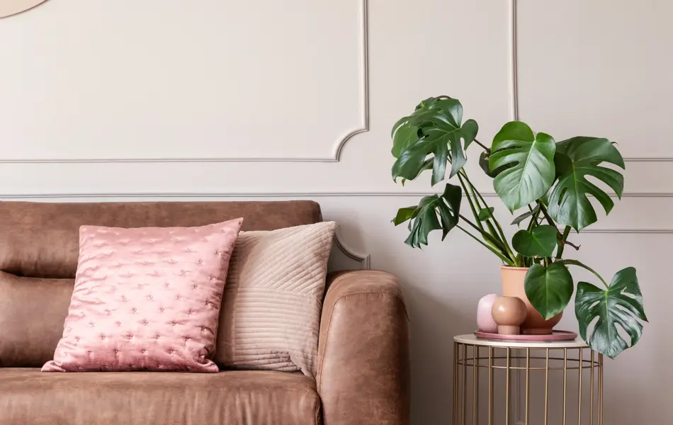 Real photo of end table with decor and fresh plant placed next to leather sofa with pink cushions in light grey living room interior with wainscoting on wall