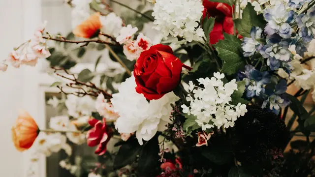 Hvite, røde, oransje og blå blomster