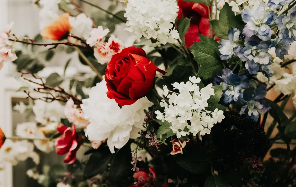 Hvite, røde, oransje og blå blomster