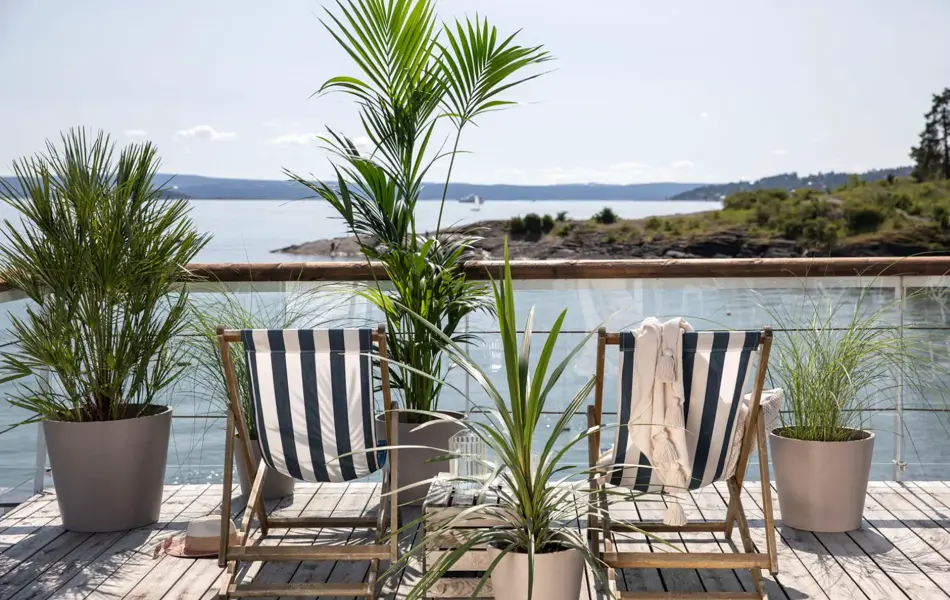 Terrassepalmer i krukker på en balkong