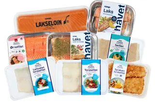 extra-fisk-uke04-3.2