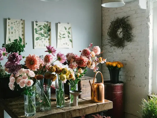 Bord fullt av Dahlia eller georginer