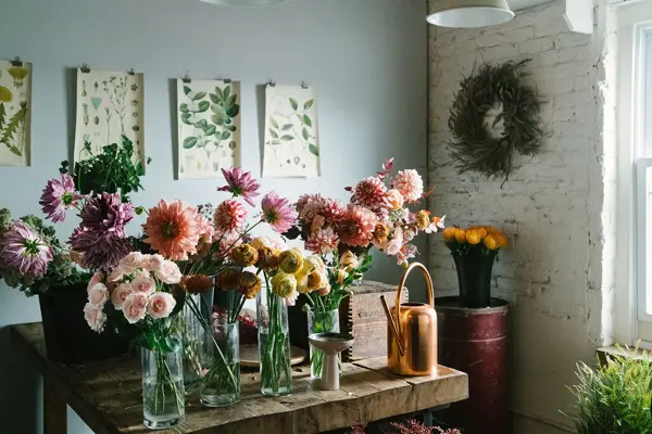 Bord fullt av Dahlia eller georginer
