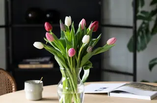 mester-gronn-tulipaner-uke11-4.3