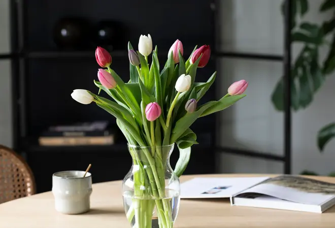 mester-gronn-tulipaner-uke11-4.3