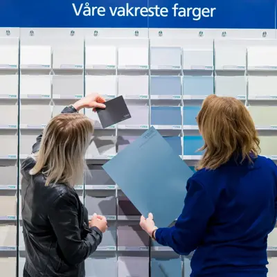 Dame får hjelp med maling 