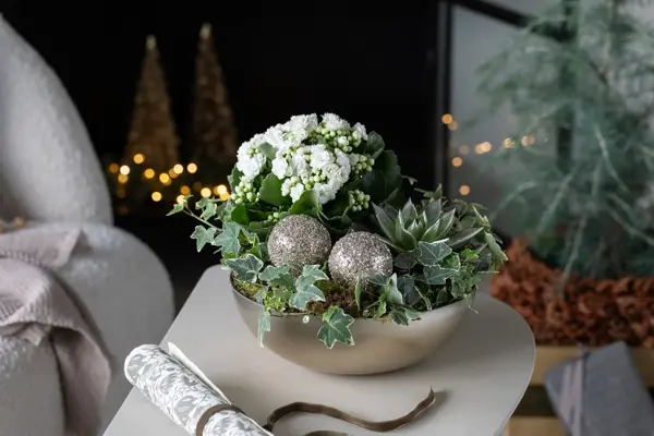 Sandvika_MesterGrønn_Allergivennlig julegruppe