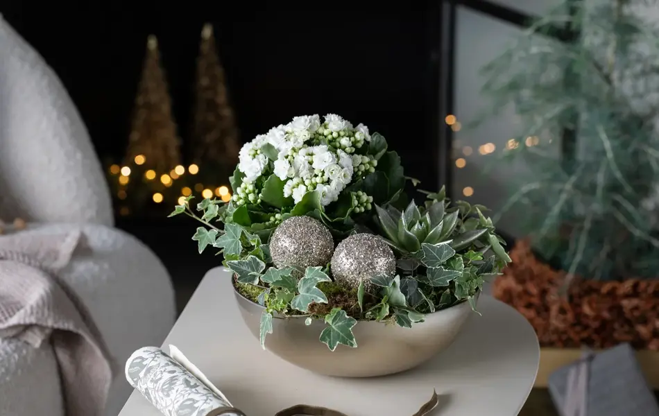 Sandvika_MesterGrønn_Allergivennlig julegruppe