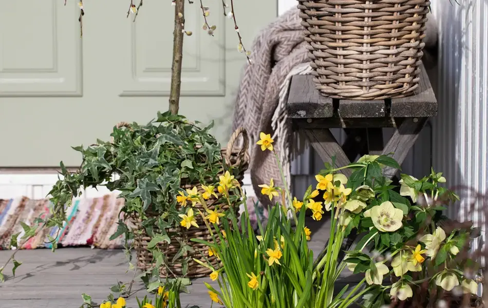 Påskeblomster og dekorasjoner fra Mester Grønn