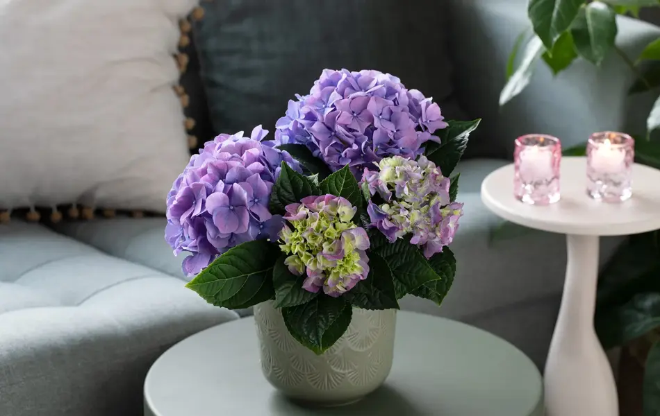 Blomster fra Mester Grønn