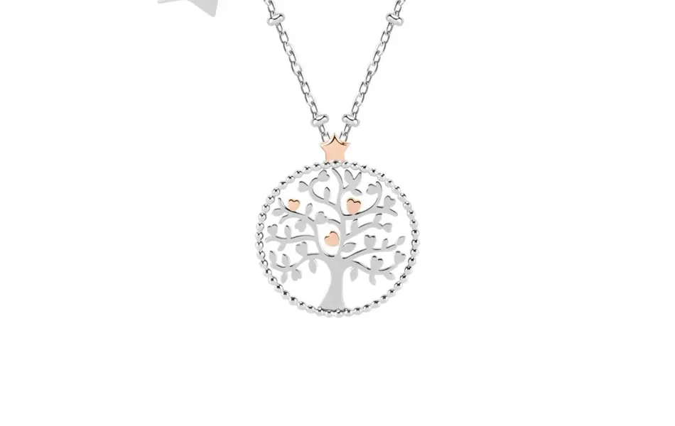 sølvsmykke med bronsjedetaljer