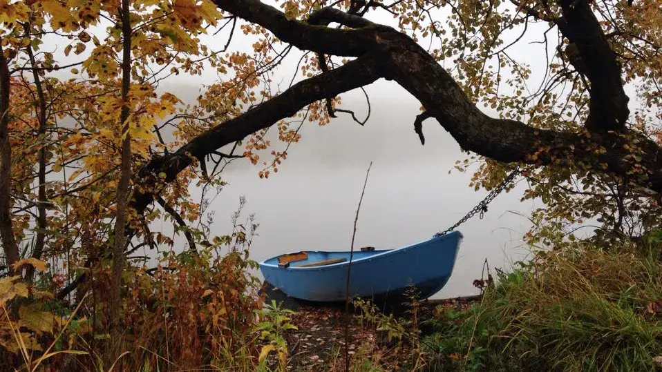 Nærbilde av båt ved tåkelagt vann