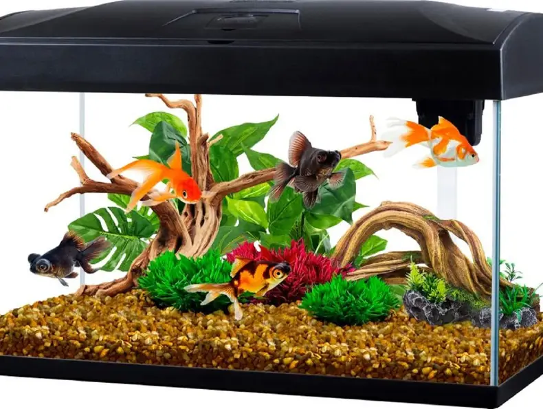 Akvarium 54 liter