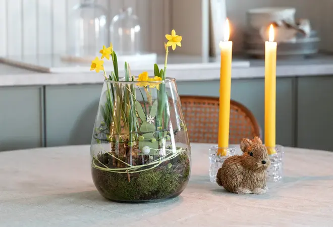 mester-gronn-narciss-glassvase-uke11-4.3