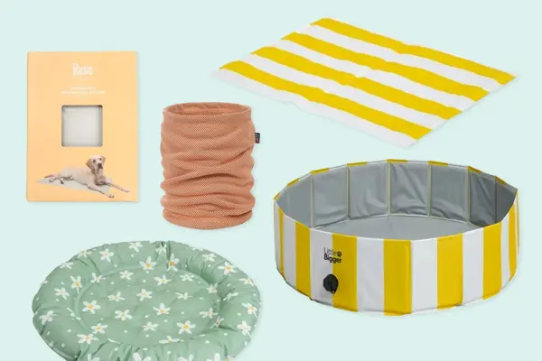 Kollasj med produkter til kjæledyr