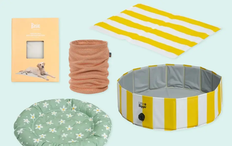 Kollasj med produkter til kjæledyr