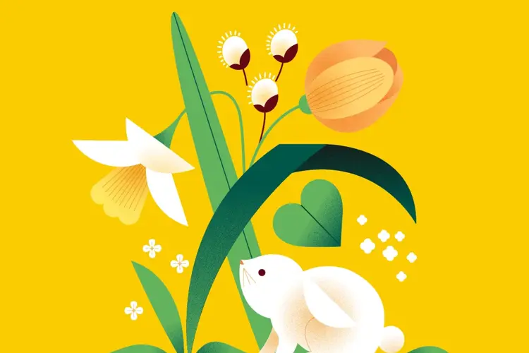 Kampanjebilde nettside