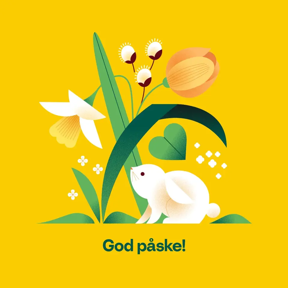 Kampanjebilde nettside